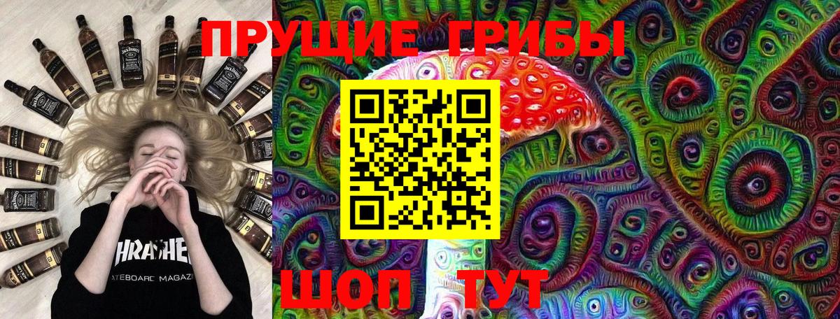 Галлюциногенные грибы Psilocybe Азнакаево